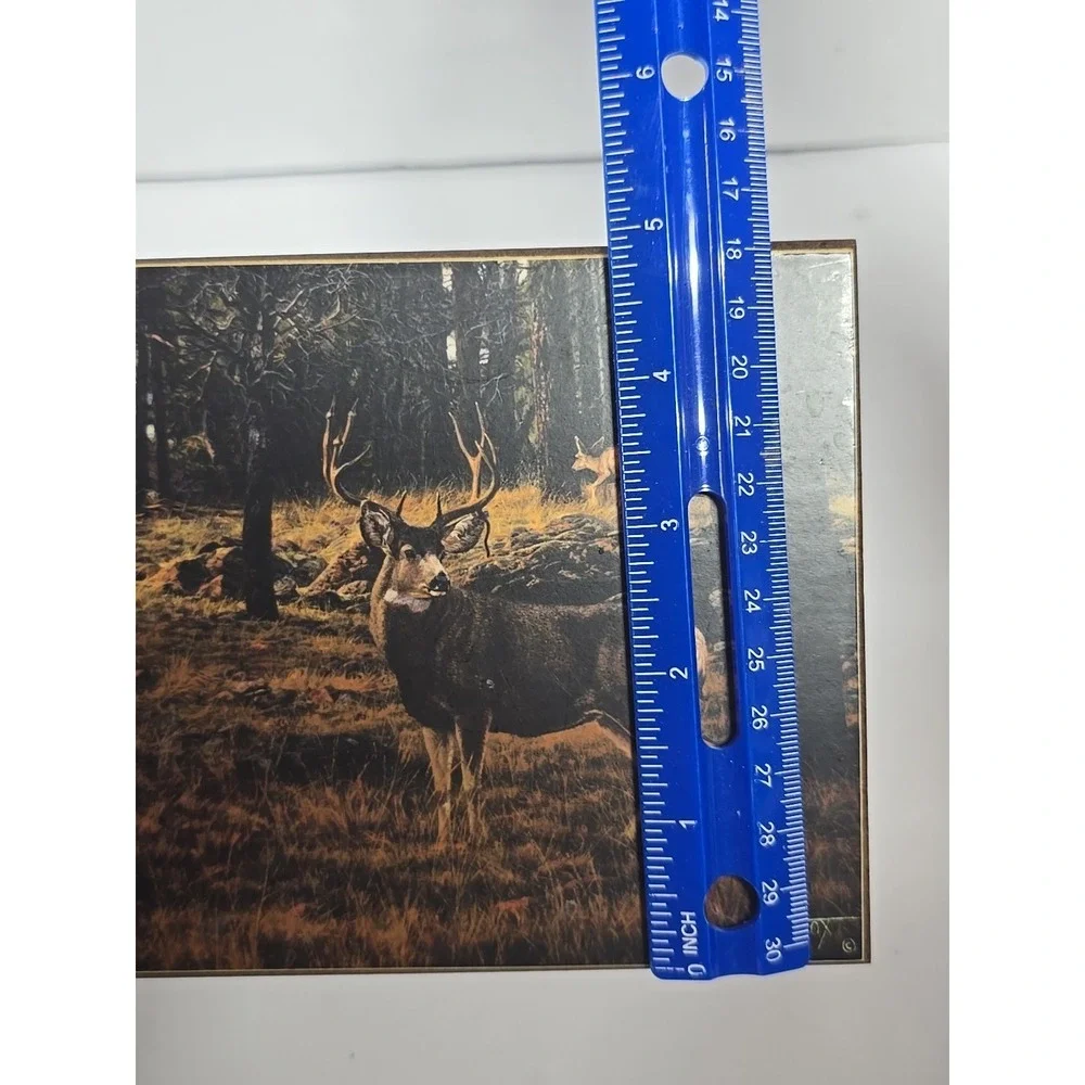 Vtg Deer Picture‎ Cedar Jewelry Box Mule Deer Picture Trinket A.T. Cox Hunter